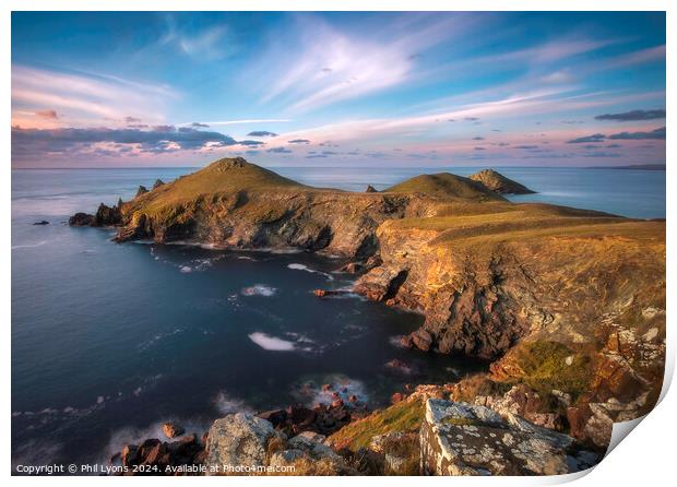 The Rumps Print by Phil Lyons