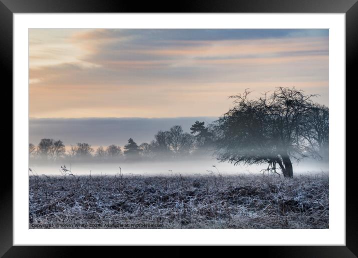 Spooky mist on a January morning Framed Mounted Print by Kevin White