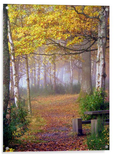 Misty Autumn Acrylic by Laura McGlinn Photog