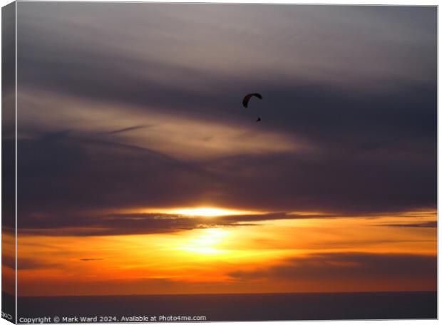 Sunset Flight Canvas Print by Mark Ward