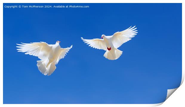 White Doves of Peace Print by Tom McPherson