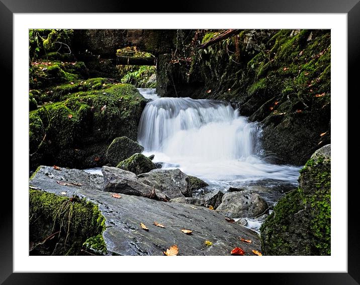 Cascading Brook Framed Mounted Print by tom downing