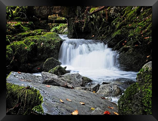 Cascading Brook Framed Print by tom downing