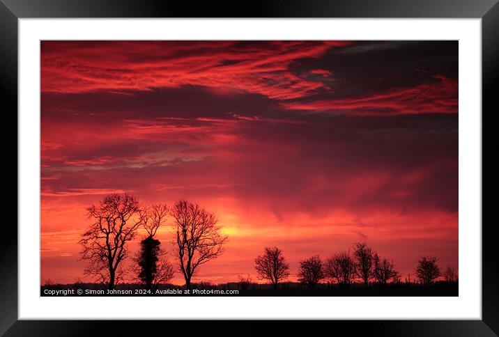 Tree silhouette at sunrise  Framed Mounted Print by Simon Johnson