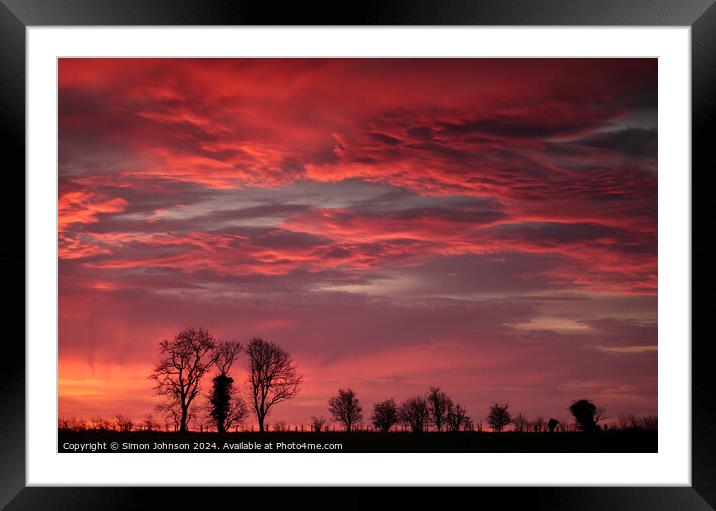Tree silhouettes sunrise  Framed Mounted Print by Simon Johnson