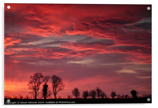Tree silhouettes sunrise  Acrylic by Simon Johnson