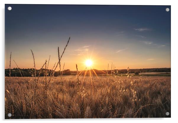 Shining through the wheat field Acrylic by Dejan Travica