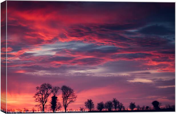 Tree silhouette at sunrise  Canvas Print by Simon Johnson