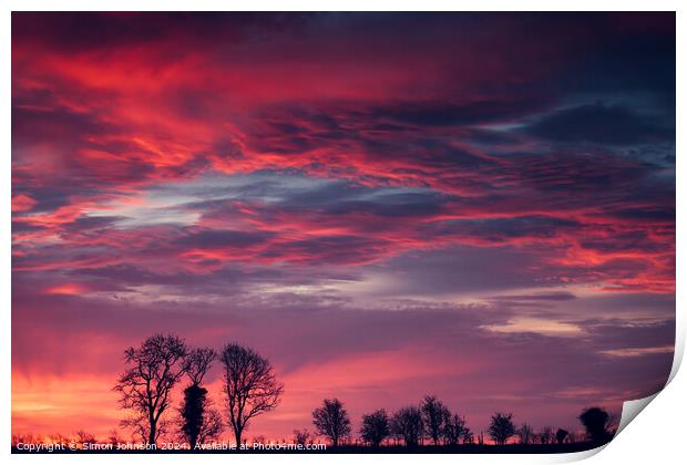 Tree silhouette at sunrise  Print by Simon Johnson