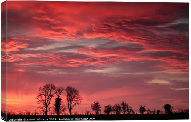 Tree silhouettes at sunrise  Canvas Print by Simon Johnson