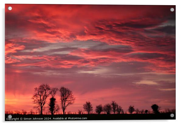 Tree silhouettes at sunrise  Acrylic by Simon Johnson