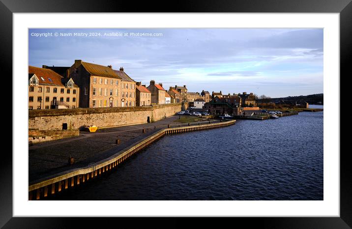 Berwick-upon-Tweed Evening Light  Framed Mounted Print by Navin Mistry