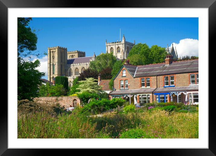 Ripon Cathedral  Framed Mounted Print by Alison Chambers