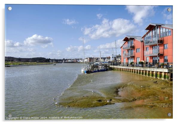 Wivenhoe Quay Essex Acrylic by Diana Mower