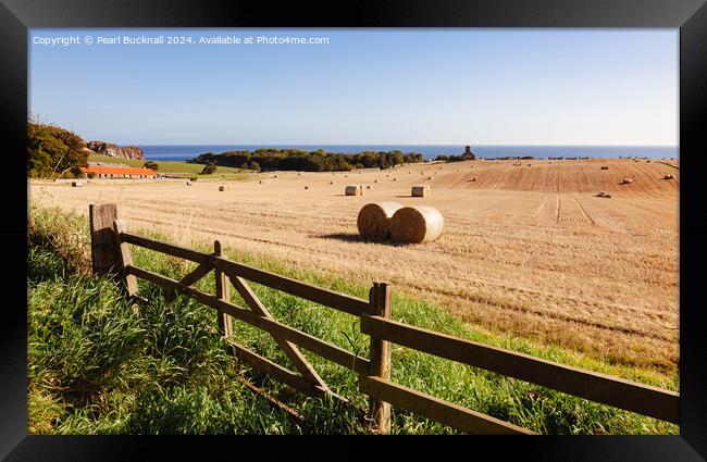 Harvest Country Scene in the Countryside St Abbs Framed Print by Pearl Bucknall