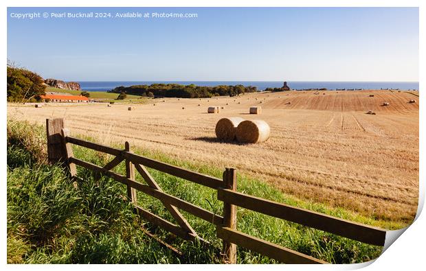 Harvest Country Scene in the Countryside St Abbs Print by Pearl Bucknall