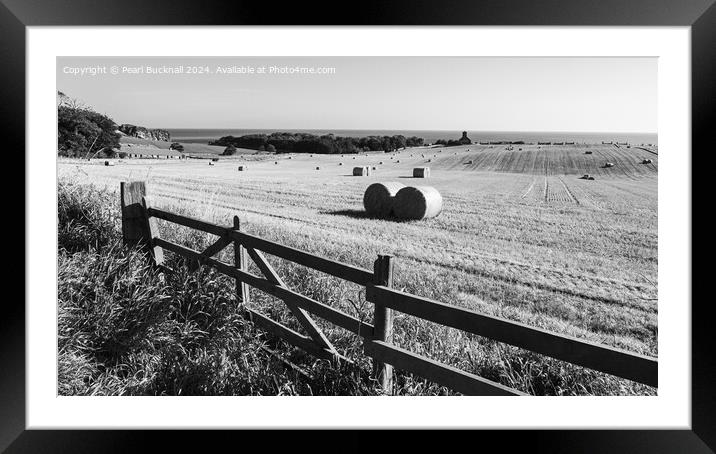 Harvest Country Scene in the Countryside St Abbs  Framed Mounted Print by Pearl Bucknall