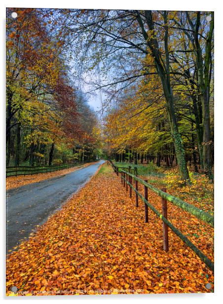 Autumnal Cotswolds Lane Acrylic by Graham Lathbury