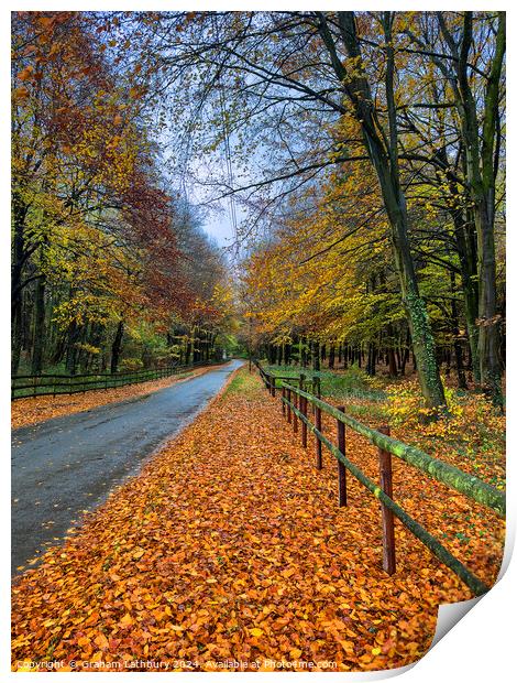 Autumnal Cotswolds Lane Print by Graham Lathbury