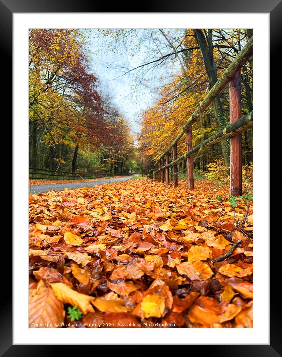 Autumnal Cotswolds Lane Framed Mounted Print by Graham Lathbury