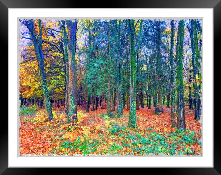 Autumnal Forest Watercolour Framed Mounted Print by Graham Lathbury