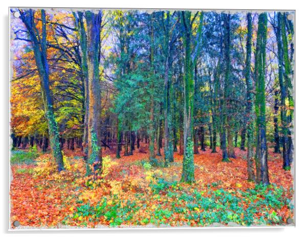 Autumnal Forest Watercolour Acrylic by Graham Lathbury