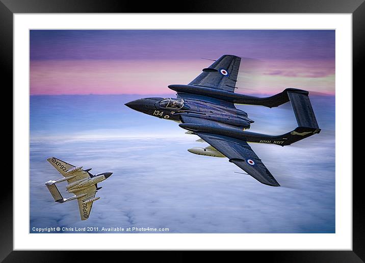 Sea Vixens at Play Framed Mounted Print by Chris Lord