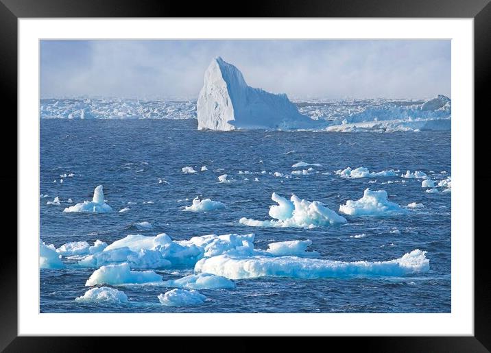 Arctic Icebergs in the Labrador Sea Framed Mounted Print by Martyn Arnold