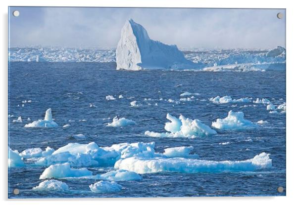 Arctic Icebergs in the Labrador Sea Acrylic by Martyn Arnold