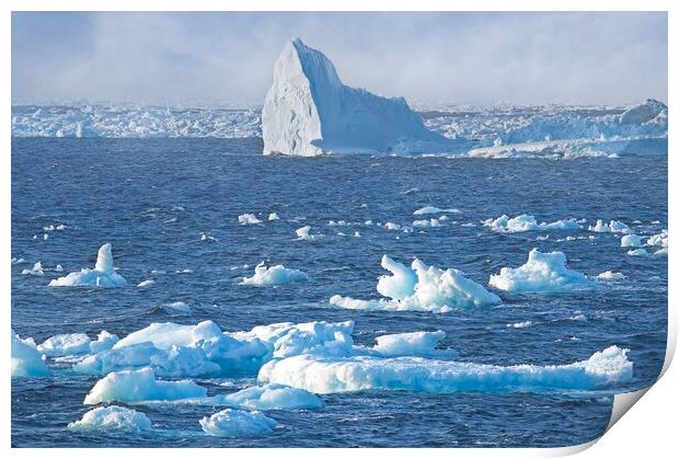 Arctic Icebergs in the Labrador Sea Print by Martyn Arnold