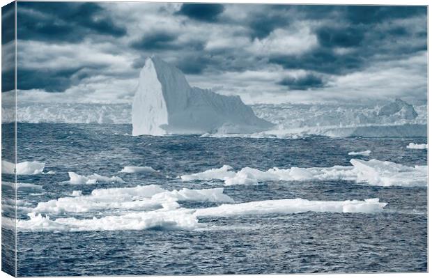 Icebergs in the Labrador Sea Canvas Print by Martyn Arnold