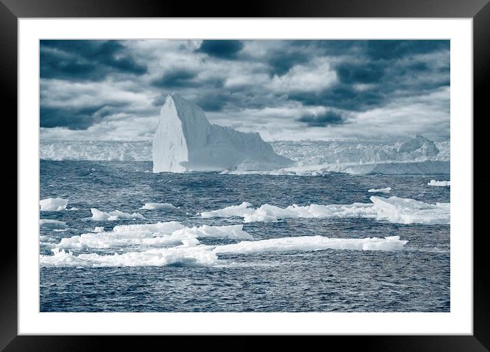 Icebergs in the Labrador Sea Framed Mounted Print by Martyn Arnold