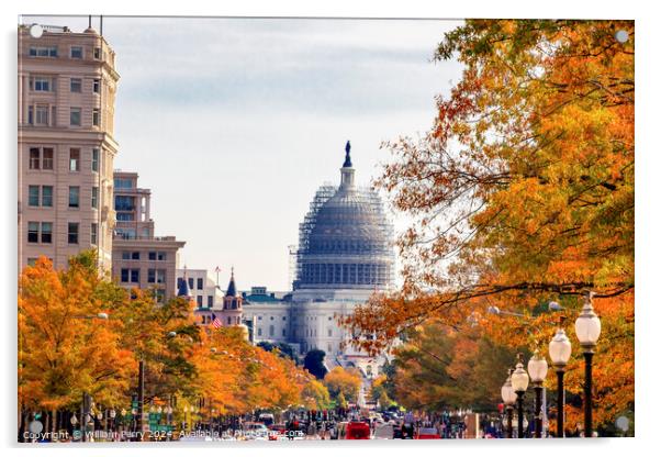 US Capitol Autumn Washington DC Acrylic by William Perry