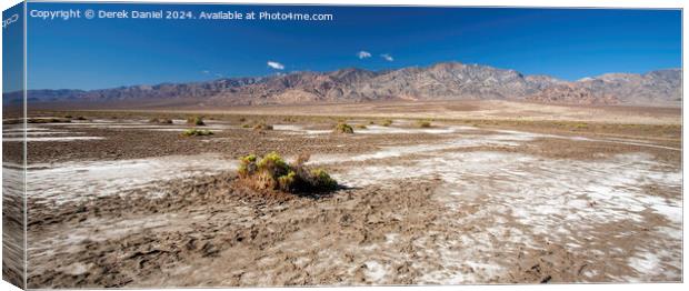 The barren landscape of Death Valley Canvas Print by Derek Daniel