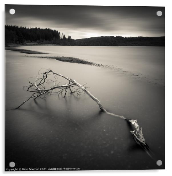 Loch Avich Branch Acrylic by Dave Bowman