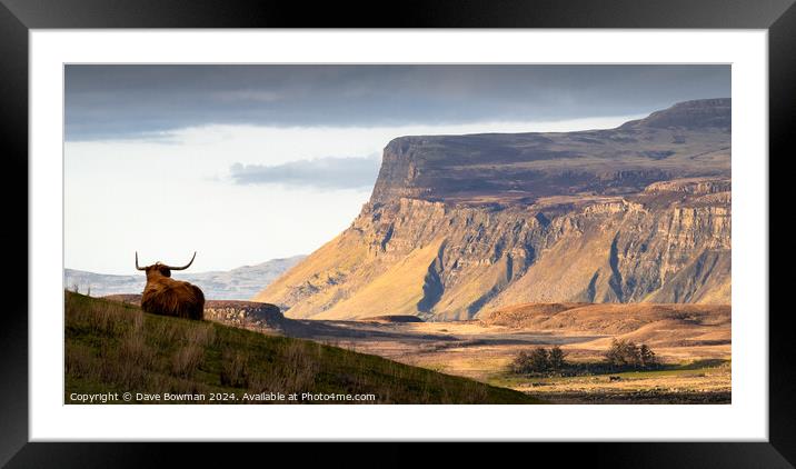 Highland Coo with a View Framed Mounted Print by Dave Bowman