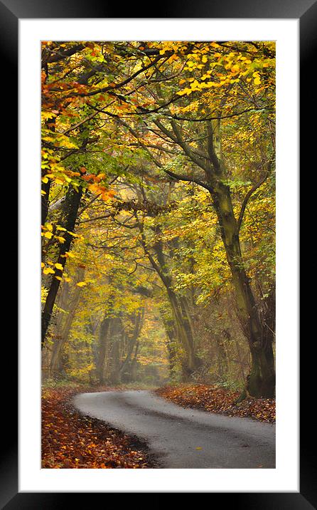The winding Road Framed Mounted Print by Dawn Cox
