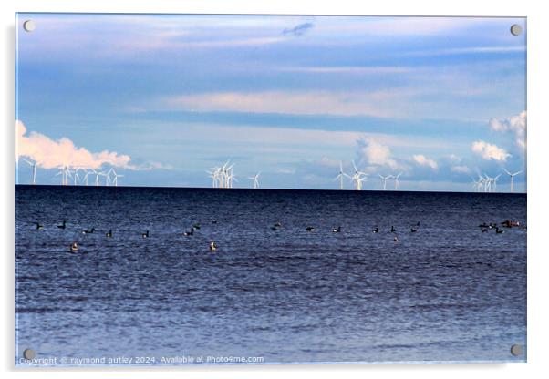 Minster-on-sea Wind farms  Acrylic by Ray Putley