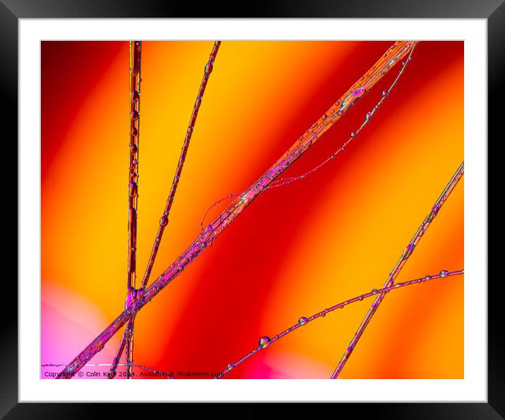 Colourful water threads Framed Mounted Print by Colin Kerr