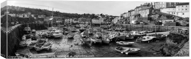 Mevagissey On The Hard In Black & White  Canvas Print by James Lavott