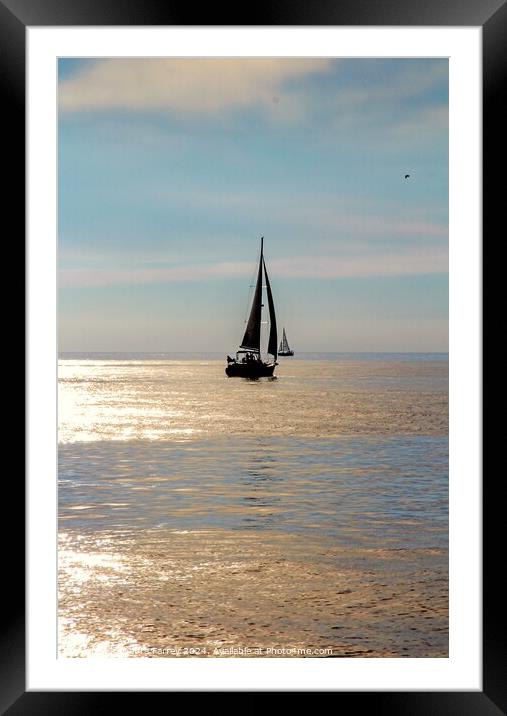 Come Sail Away Framed Mounted Print by Debra Farrey