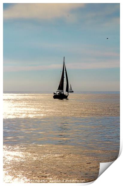 Come Sail Away Print by Debra Farrey