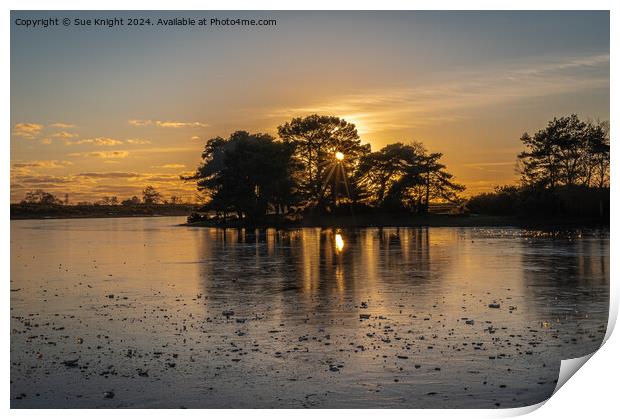 Icy sunset at Hatchet Pond Print by Sue Knight
