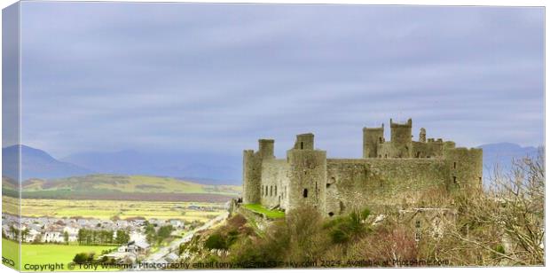 Harlech Castle Canvas Print by Tony Williams. Photography email tony-williams53@sky.com