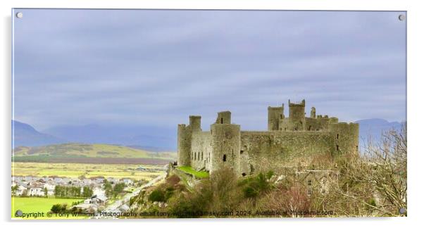 Harlech Castle Acrylic by Tony Williams. Photography email tony-williams53@sky.com