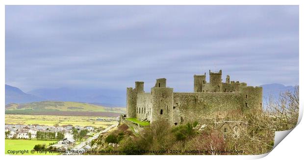 Harlech Castle Print by Tony Williams. Photography email tony-williams53@sky.com