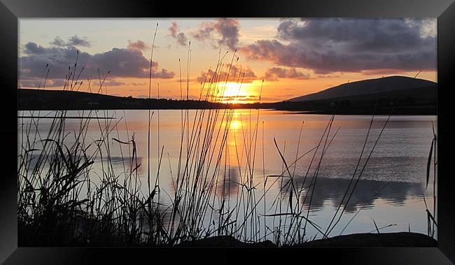 Evening in Dingle Framed Print by barbara walsh