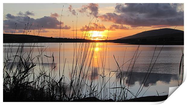 Evening in Dingle Print by barbara walsh