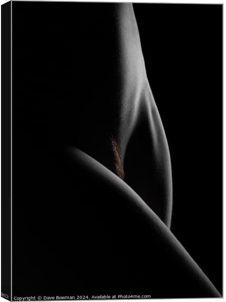 Nude Study No10 Canvas Print by Dave Bowman