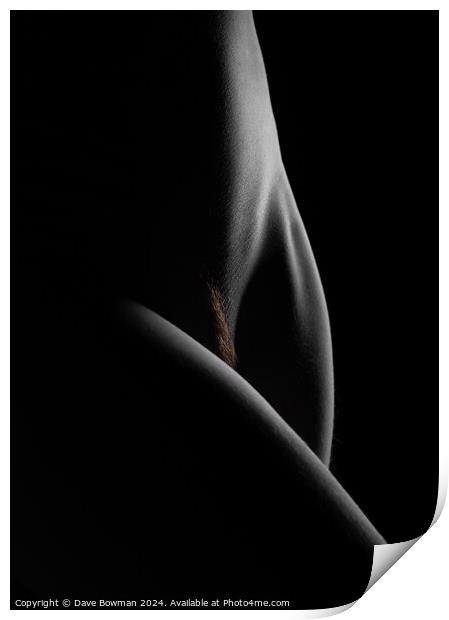 Nude Study No10 Print by Dave Bowman